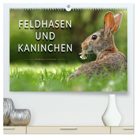 Feldhasen und Kaninchen (hochwertiger Premium Wandkalender 2027 DIN A2 quer), Kunstdruck in Hochglanz