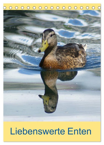 Liebenswerte Enten (Tischkalender 2026 DIN A5 hoch), CALVENDO Monatskalender