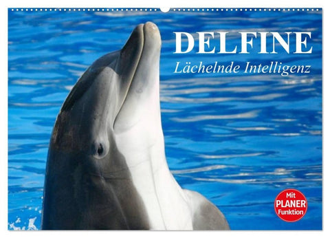Delfine - Lächelnde Intelligenz (Wandkalender 2027 DIN A2 quer), CALVENDO Monatskalender