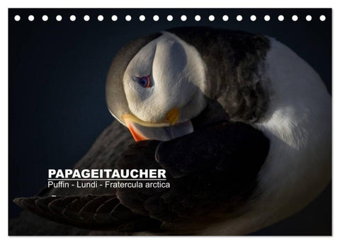 Papageitaucher: Puffin - Lundi - Fratercula arctica (Tischkalender 2027 DIN A5 quer), CALVENDO Monatskalender