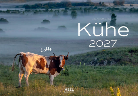 Kühe Kalender 2027 Wandkalender