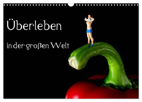 Überleben in der großen Welt - HO Figuren (Wandkalender 2027 DIN A3 quer), CALVENDO Monatskalender