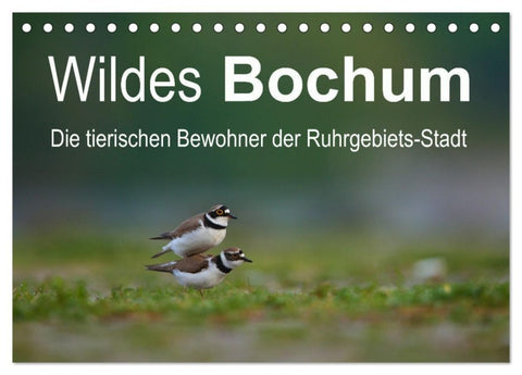 Wildes Bochum (Tischkalender 2027 DIN A5 quer), CALVENDO Monatskalender