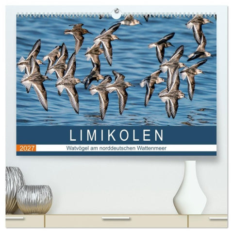 Limikolen - Watvögel am norddeutschen Wattenmeer (hochwertiger Premium Wandkalender 2027 DIN A2 quer), Kunstdruck in Hochglanz