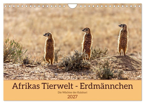 Afrikas Tierwelt - Erdmännchen (Wandkalender 2027 DIN A4 quer), CALVENDO Monatskalender