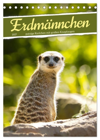 Erdmännchen, putzige Kerlchen mit großen Knopfaugen (Tischkalender 2027 DIN A5 hoch), CALVENDO Monatskalender