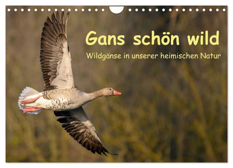 Gans schön wild (Wandkalender 2027 DIN A4 quer), CALVENDO Monatskalender