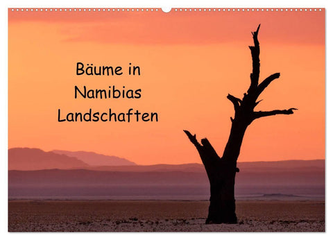 Bäume in Namibias Landschaften (Wandkalender 2027 DIN A2 quer), CALVENDO Monatskalender