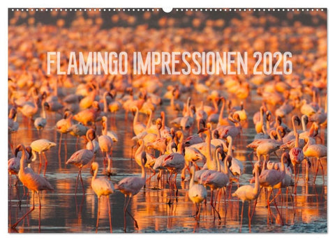 Flamingo Impressionen 2026 (Wandkalender 2026 DIN A2 quer), CALVENDO Monatskalender