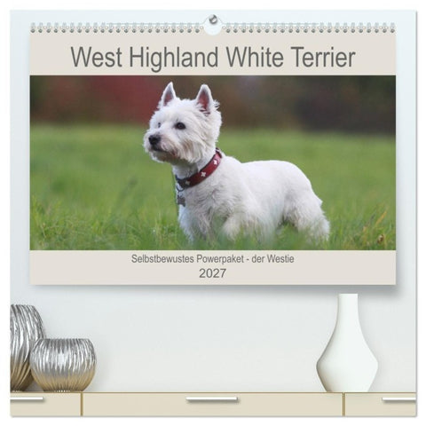West Highland White Terrier - Selbstbewustes Powerpaket - der Westie (hochwertiger Premium Wandkalender 2027 DIN A2 quer), Kunstdruck in Hochglanz