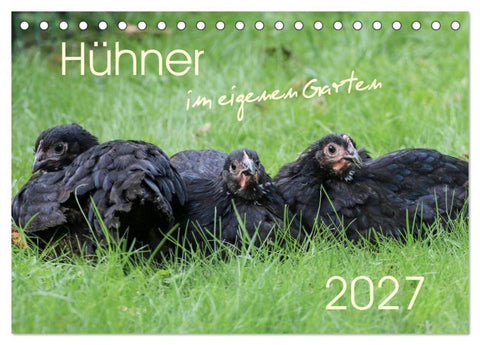 Hühner im eigenen Garten (Tischkalender 2027 DIN A5 quer), CALVENDO Monatskalender