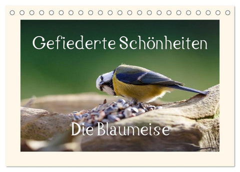 Gefiederte Schönheiten - Die Blaumeise (Tischkalender 2027 DIN A5 quer), CALVENDO Monatskalender