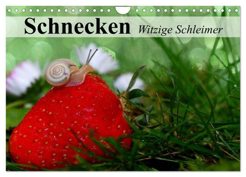 Schnecken. Witzige Schleimer (Wandkalender 2027 DIN A4 quer), CALVENDO Monatskalender