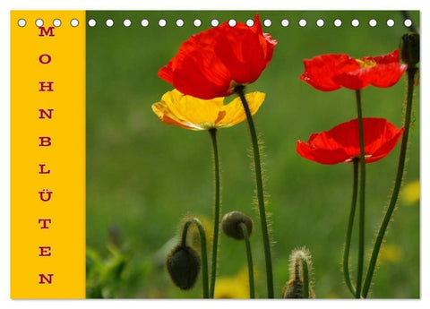 MOHNBLÜTEN (Tischkalender 2027 DIN A5 quer), CALVENDO Monatskalender