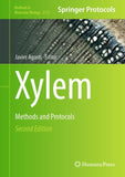 Xylem