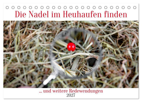 Die Nadel im Heuhaufen finden (Tischkalender 2027 DIN A5 quer), CALVENDO Monatskalender
