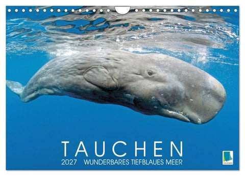 Tauchen: Wunderbares tiefblaues Meer (Wandkalender 2027 DIN A4 quer), CALVENDO Monatskalender