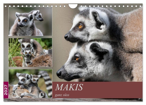 Makis ganz süss (Wandkalender 2027 DIN A4 quer), CALVENDO Monatskalender