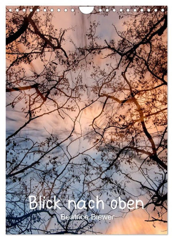 Blick nach oben (Wandkalender 2027 DIN A4 hoch), CALVENDO Monatskalender