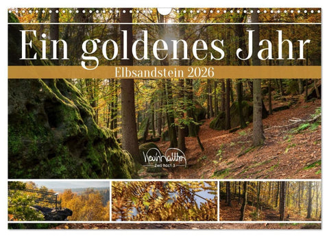 Ein goldenes Jahr - Elbsandstein (Wandkalender 2026 DIN A3 quer), CALVENDO Monatskalender