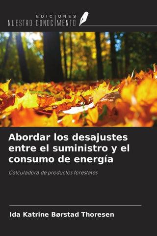 Abordar los desajustes entre el suministro y el consumo de energía