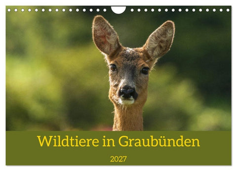 Wildtiere in Graubünden (Wandkalender 2027 DIN A4 quer), CALVENDO Monatskalender