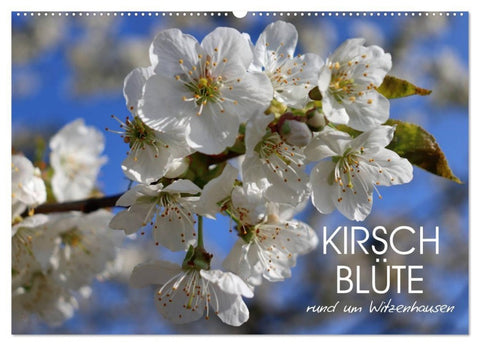 Kirschblüte rund um Witzenhausen (Wandkalender 2027 DIN A2 quer), CALVENDO Monatskalender
