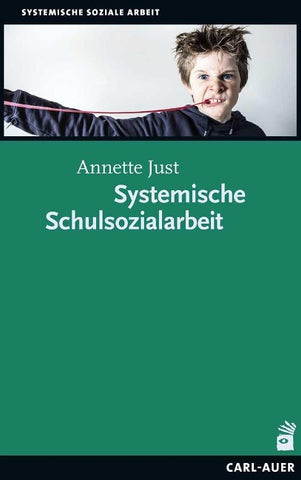 Systemische Schulsozialarbeit