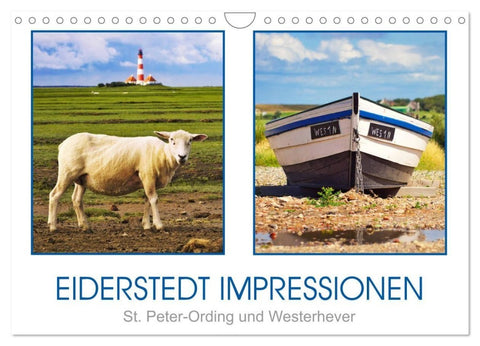 Eiderstedt Impressionen (Wandkalender 2027 DIN A4 quer), CALVENDO Monatskalender
