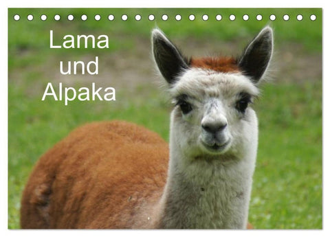 Lama und Alpaka (Tischkalender 2027 DIN A5 quer), CALVENDO Monatskalender