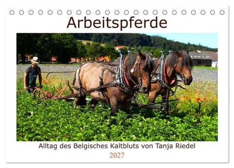 Arbeitspferde - Alltag des belgischen Kaltbluts (Tischkalender 2027 DIN A5 quer), CALVENDO Monatskalender