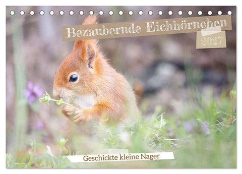 Bezaubernde Eichhörnchen (Tischkalender 2027 DIN A5 quer), CALVENDO Monatskalender
