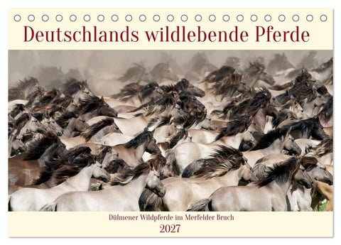 Deutschlands wildlebende Pferde (Tischkalender 2027 DIN A5 quer), CALVENDO Monatskalender