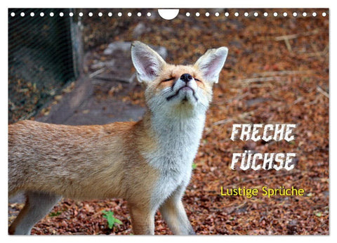 Freche Füchse - lustige Sprüche (Wandkalender 2026 DIN A4 quer), CALVENDO Monatskalender