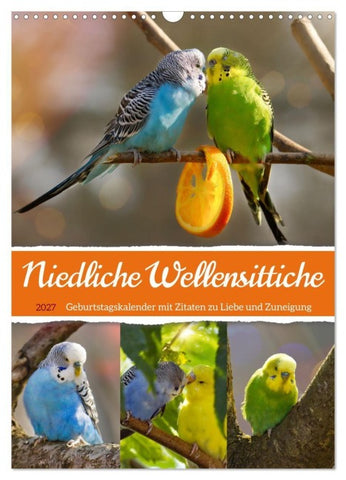 Niedliche Wellensittiche (Wandkalender 2027 DIN A3 hoch), CALVENDO Monatskalender