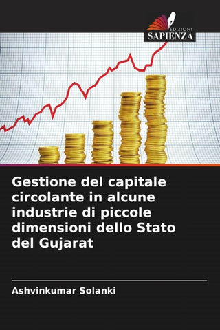 Gestione del capitale circolante in alcune industrie di piccole dimensioni dello Stato del Gujarat