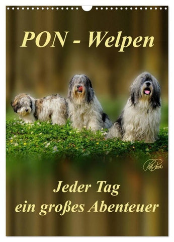 PON-Welpen - jeder Tag ein großes Abenteuer / Planer (Wandkalender 2027 DIN A3 hoch), CALVENDO Monatskalender