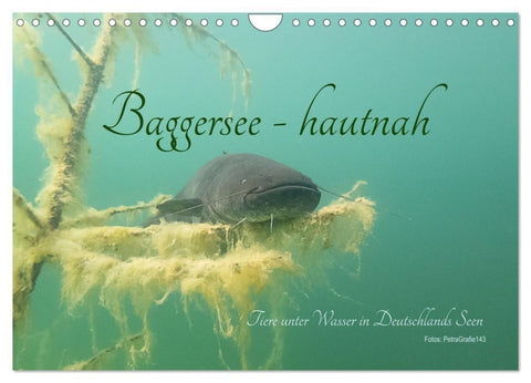 Baggersee -hautah (Wandkalender 2027 DIN A4 quer), CALVENDO Monatskalender