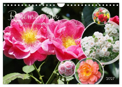 Rosensommer (Wandkalender 2027 DIN A4 quer), CALVENDO Monatskalender