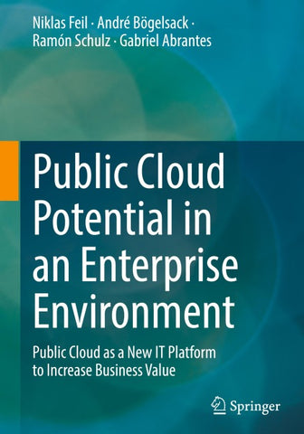 Public Cloud Potential in an Enterprise Environment