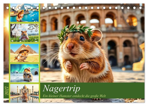 Nagertrip - Ein kleiner Hamster entdeckt die große Welt (Tischkalender 2027 DIN A5 quer), CALVENDO Monatskalender