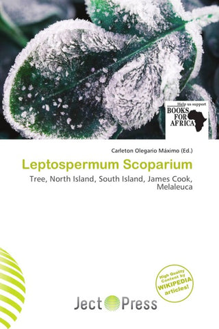 Leptospermum Scoparium
