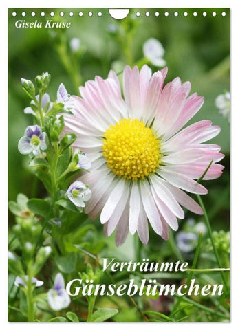 Verträumte Gänseblümchen (Wandkalender 2027 DIN A4 hoch), CALVENDO Monatskalender