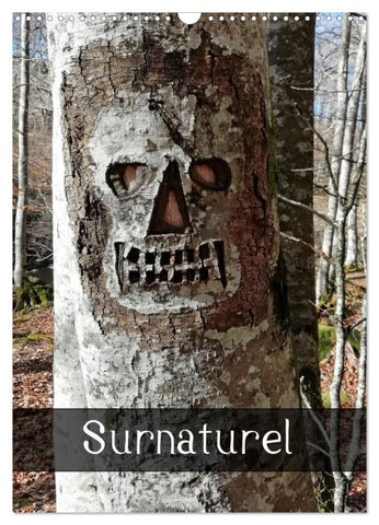Surnaturel (Calendrier mural 2027 DIN A3 horizontal), CALVENDO calendrier mensuel