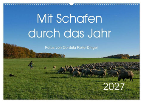 Mit Schafen durch das Jahr (Wandkalender 2027 DIN A2 quer), CALVENDO Monatskalender