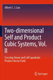 Two-dimensional Self and Product Cubic Systems, Vol. II