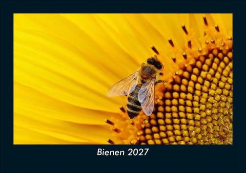 Bienen 2027 Fotokalender DIN A5