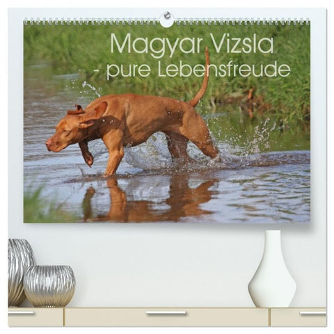 Magyar Vizsla - pure Lebensfreude (hochwertiger Premium Wandkalender 2026 DIN A2 quer), Kunstdruck in Hochglanz