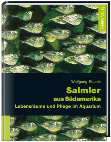 Salmler aus Südamerika