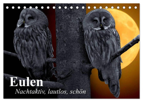 Eulen. Nachtaktiv, lautlos, schön (Tischkalender 2027 DIN A5 quer), CALVENDO Monatskalender